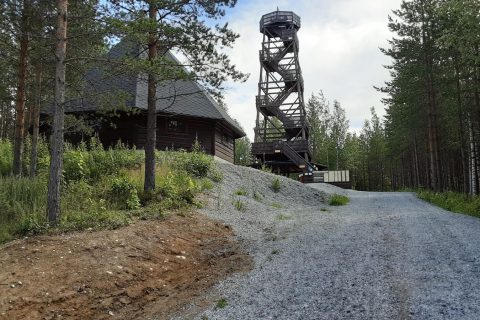 Kota ja näköalatorni metsässä